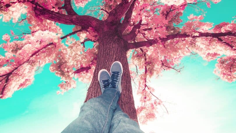 Imagem de uma árvore de cerejeira linda e florida e em destaque as penas de uma pessoa, usando calça jeans e um tênis azul claro, simbolizando o descanso.