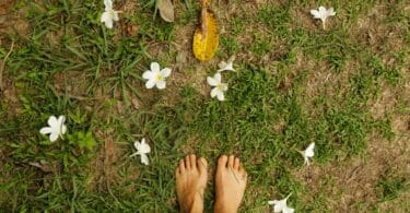 Imagem dos pés de uma pessoa sobre um gramado com flores brancas caídas sobre ele, simbolizando um padrão que pode se repetir até que você o reconheça e escolha outro caminho.