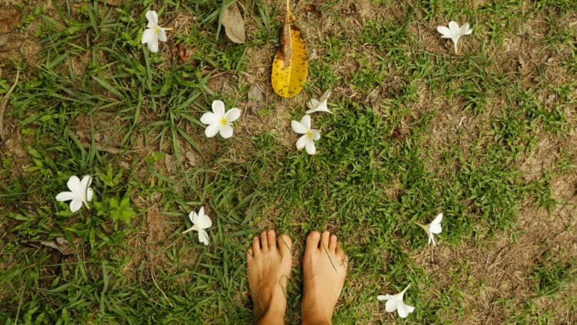 Imagem dos pés de uma pessoa sobre um gramado com flores brancas caídas sobre ele, simbolizando um padrão que pode se repetir até que você o reconheça e escolha outro caminho.