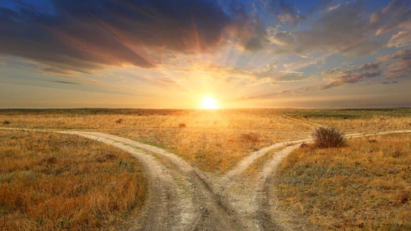 Imagem de uma bifurcação em uma estrada no meio do sertão e ao fundo, um lindo pôr do Sol, simbolizando escolha, mudança, consciência e possibilidade.