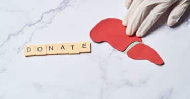 Imagem de fundo branco e em destaque uma mão médica segurando um órgão e embaixo, a palabra doação escrita em inglês: DONATE, simbolizando a doação de órgãos.