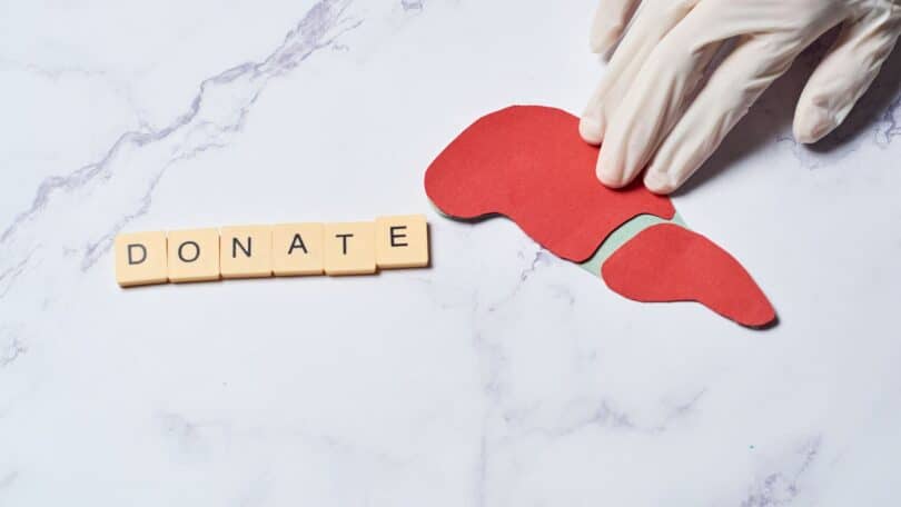 Imagem de fundo branco e em destaque uma mão médica segurando um órgão e embaixo, a palabra doação escrita em inglês: DONATE, simbolizando a doação de órgãos.