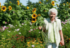 Mulher idosa em um jardim florido, segurando girassóis e uma tesoura de poda.