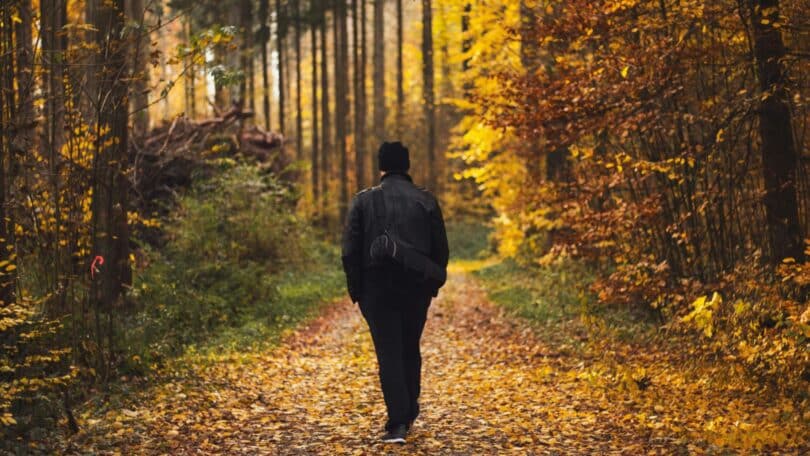 Imagem de uma pessoa caminhando sozinha por um caminho cercado por natureza, com luz suave e bastante espaço visual.